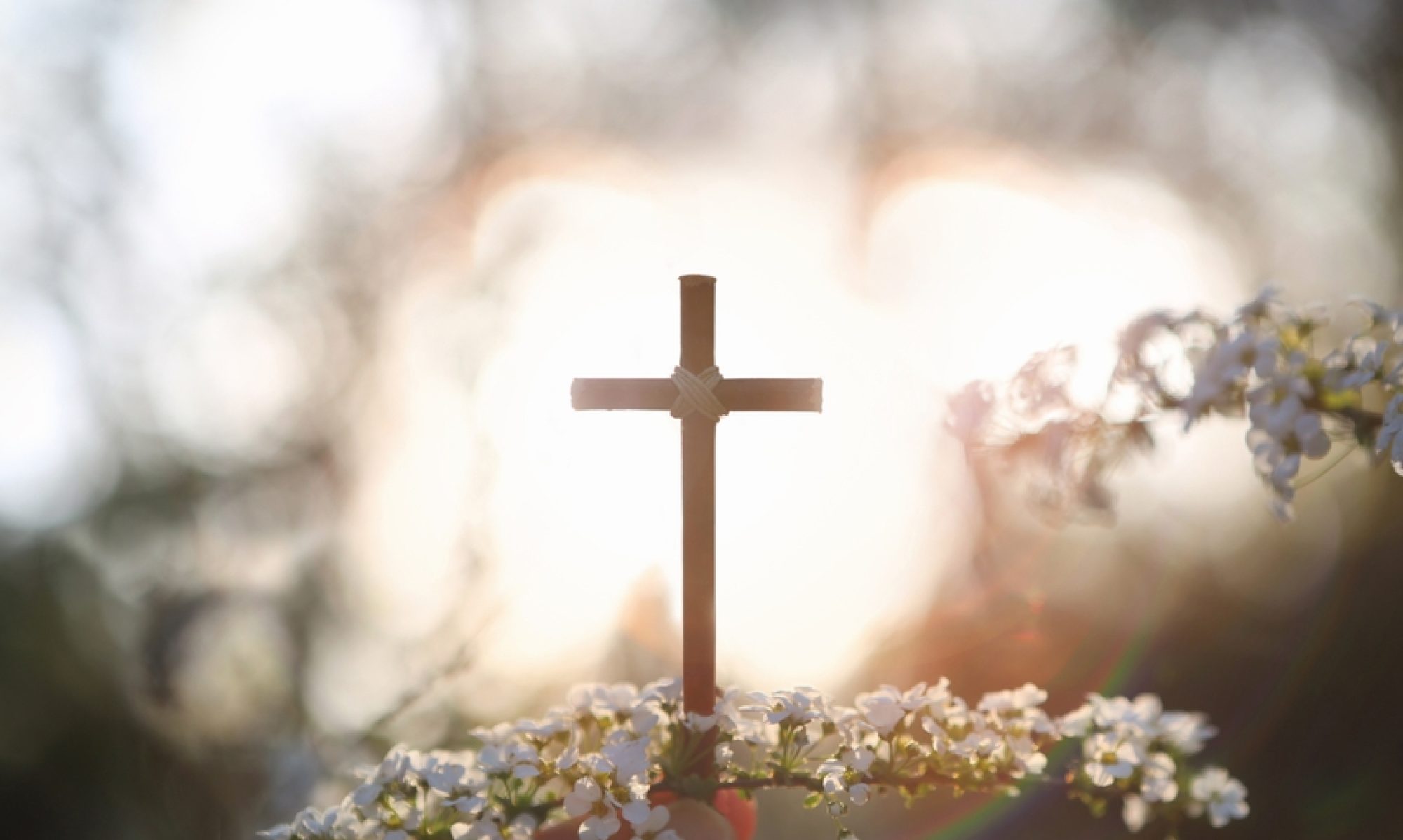 A cross surrounded by flowers in the morning light